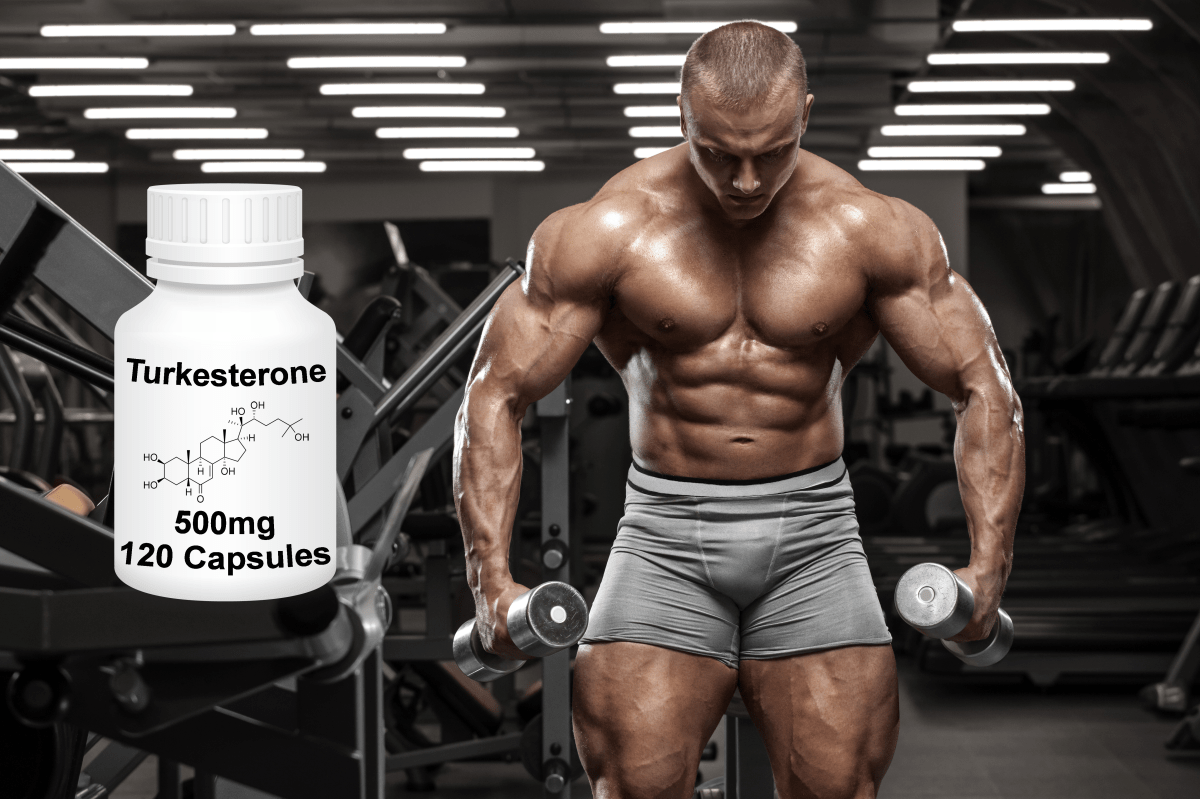 Where to Buy Turkesterone? In Stock&nbsp;Turkesterone